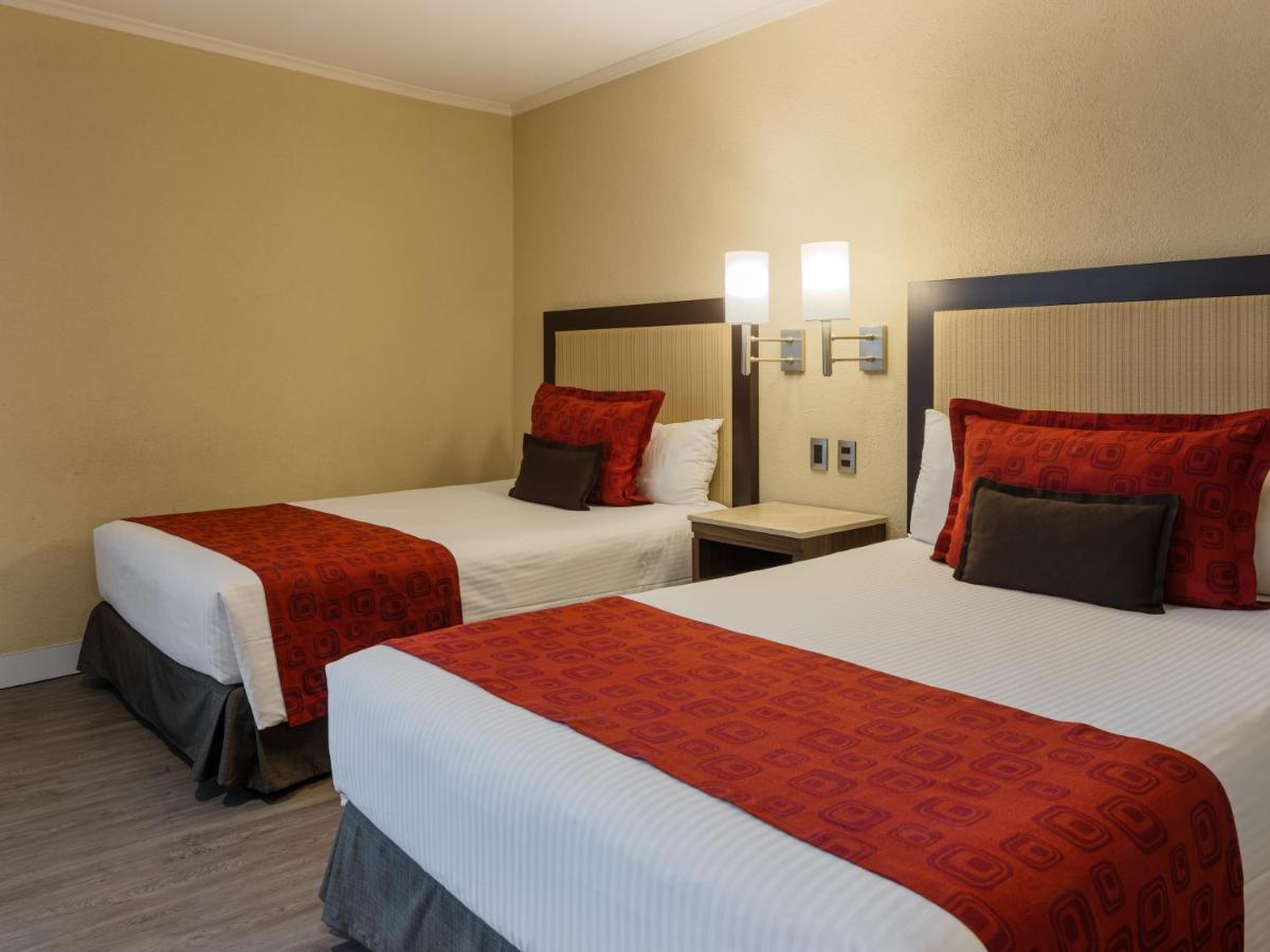 Exe Alameda Reforma Hotel Mexico City Ngoại thất bức ảnh